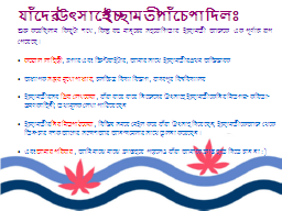 Slide 11