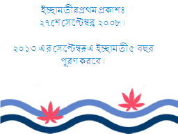 Slide 5